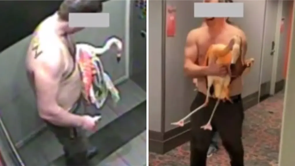 Mann verurteilt wegen Flamingo-Entführung in Las Vegas