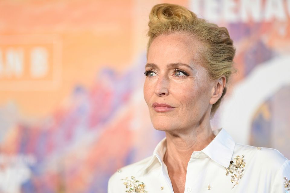 Gillian Andersons Herausforderung mit hartnäckigen Fans