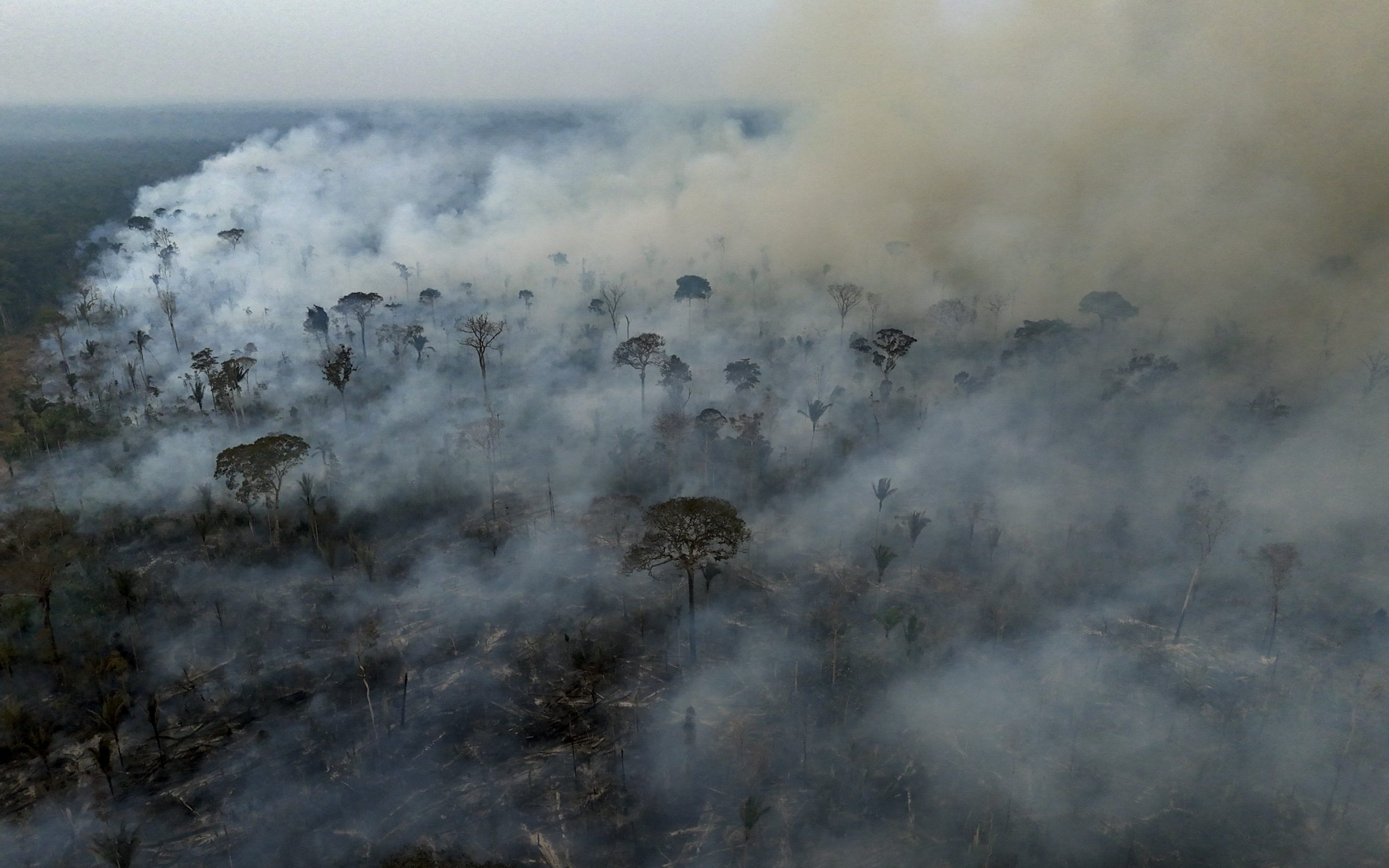 Die letzte Chance den Amazonas zu retten