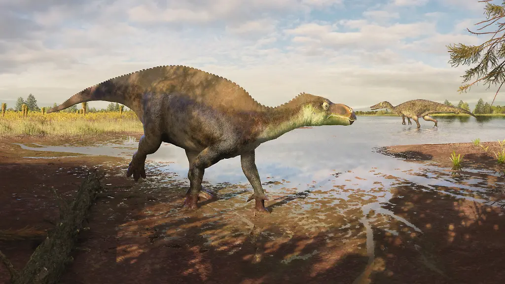 Neue Dinosaurier-Art in England entdeckt