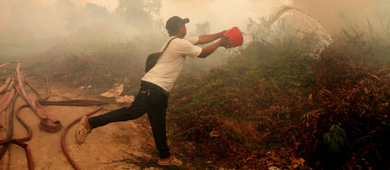 Waldbrände in Indonesien und deren Auswirkungen auf die Nachbarländer