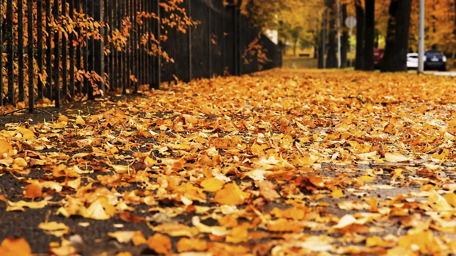 Änderungen im Oktober 2026: Was Verbraucher wissen sollten
