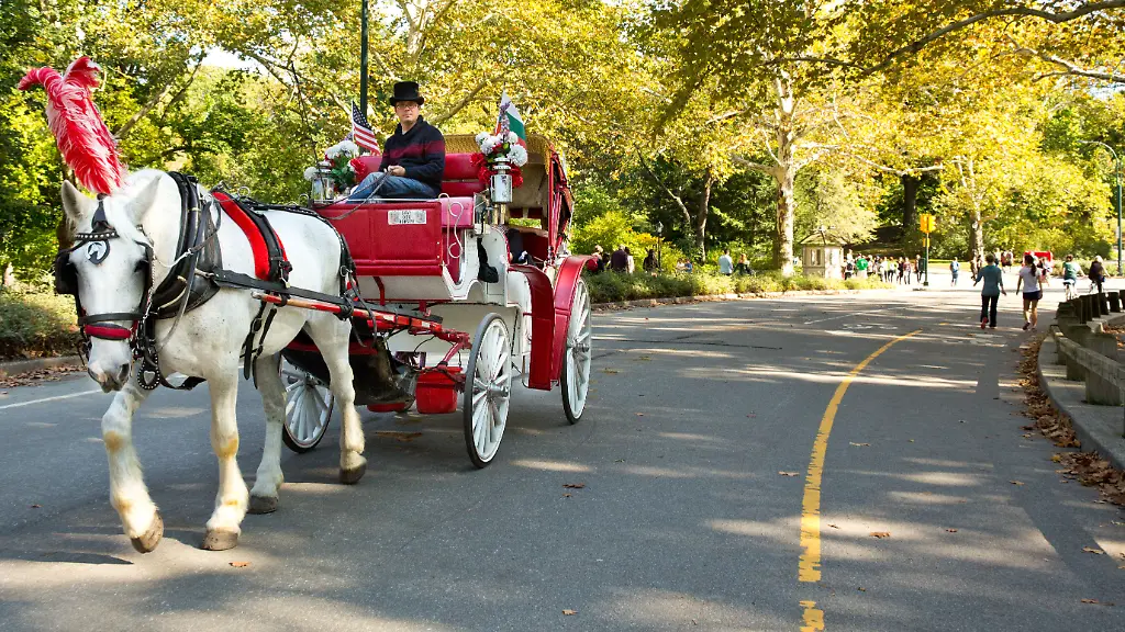 Verbot von Pferdekutschen im New Yorker Central Park
