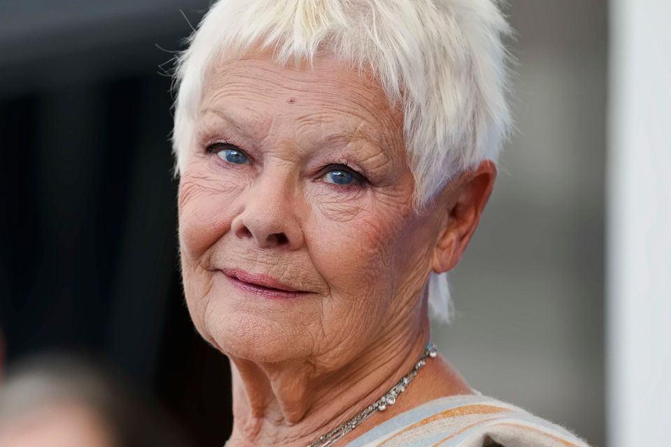 „Cats“ – Ein Film voller Fehltritte: Judi Dench und ihre Kritik