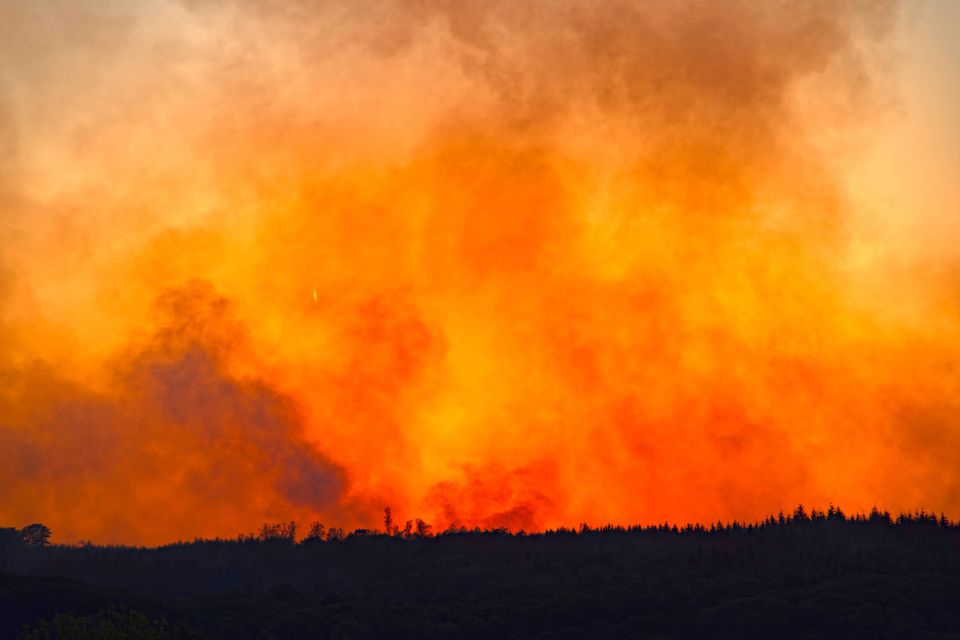 Klimawandel: Steigende Temperaturen und politische Herausforderungen
